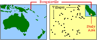 6-5.Bougainville.gif (3610bytes)